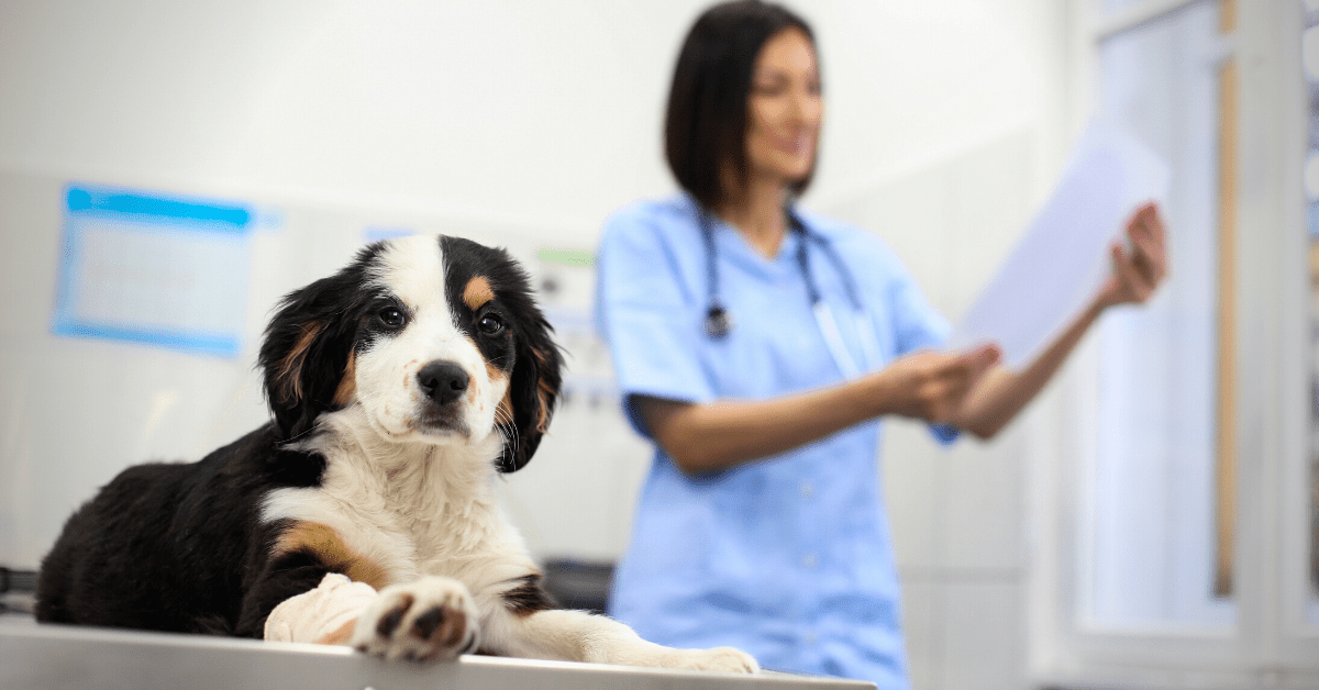 How to Minimize the Effects of an Employee Resignation in Your Veterinary Practice
