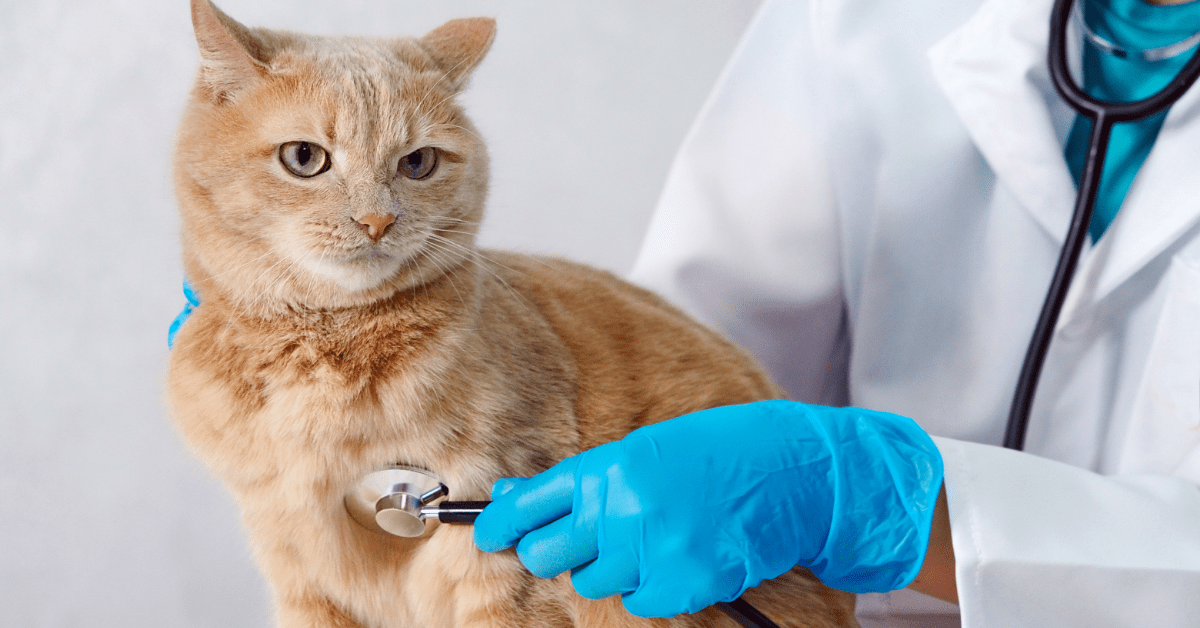 Why You Should Never Adjust A Veterinary Employee’s Timesheet