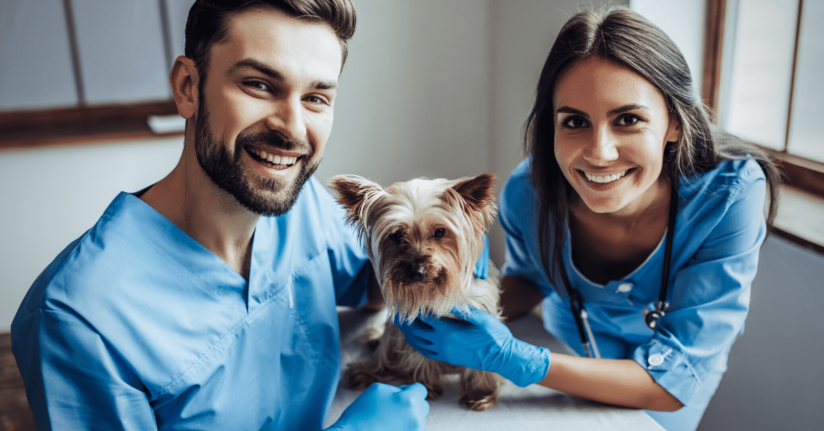 Best Practices for When You Revise Your Veterinary Practice’s Employee Handbook